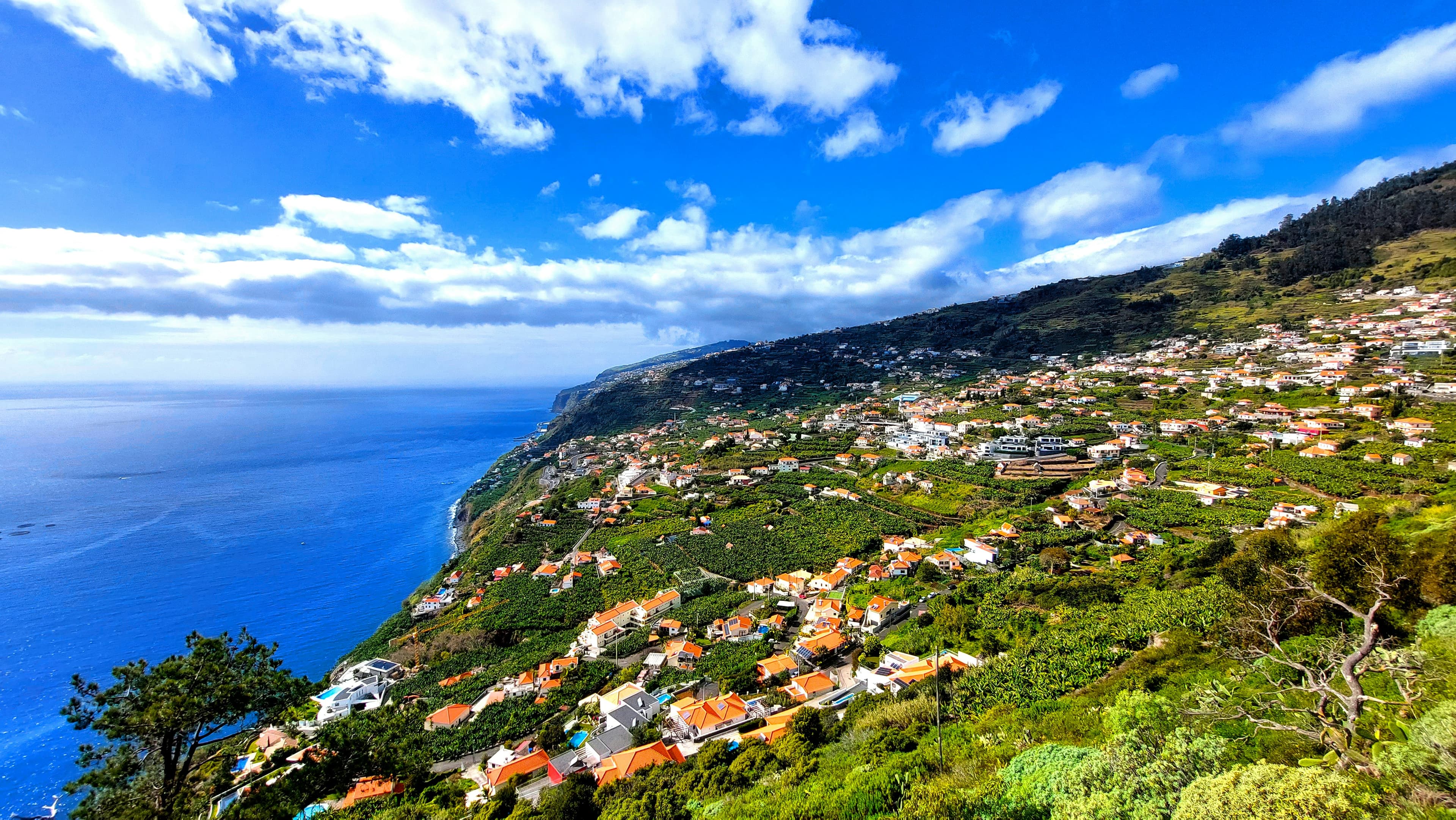 picture of madeira